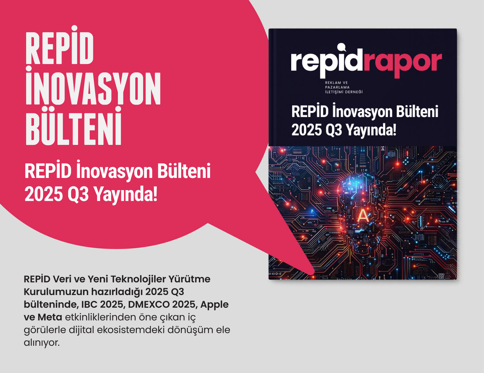 Repid Bulten Page 22